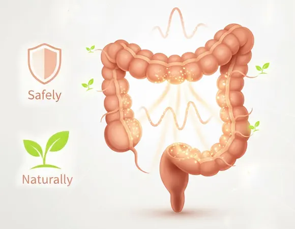 Diagram illustrating the colon being cleansed safely and naturally, emphasizing the gentle, rhythmic process over harsh forcing