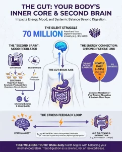 Infographic detailing the Gut-Brain Axis, showing how gut health impacts energy, mood, and digestion, including links to chronic fatigue, IBS, and the stress feedback loop
